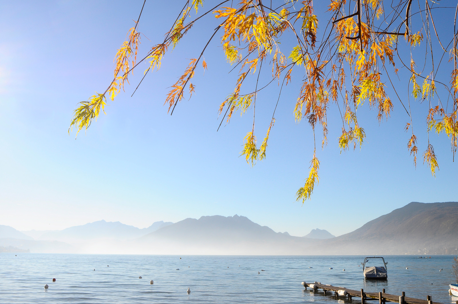 Lac d'Annecy - Location vélos NOMAD BIKE Lac d'Annecy - Location vélos NOMAD BIKE